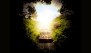 Stone stairway leading upward into bright sunlight through an archway of trees, symbolizing the journey from darkness into healing and light